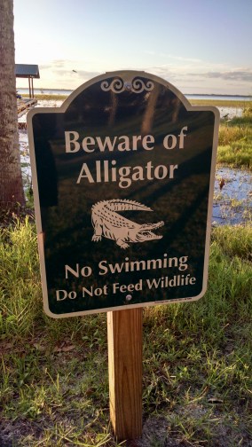 Beware of alligator sign